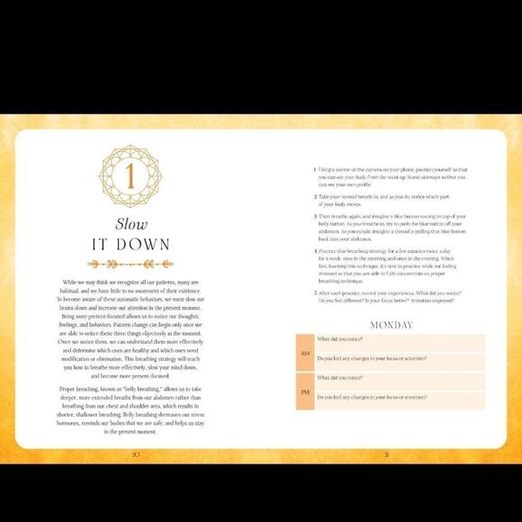 "Find Good Habits" Daily Guided Journal - Picture 10 of 12